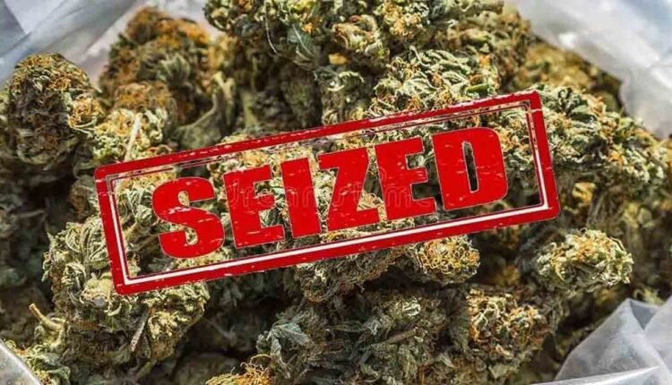 Hydroponic Marijuana Seized At RGIA