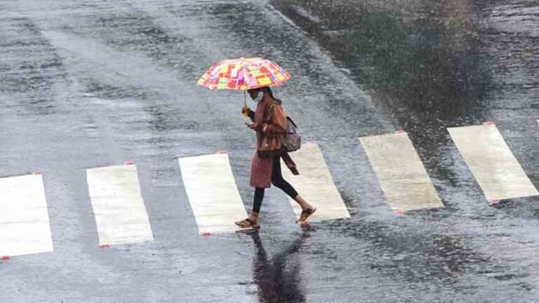 Telangana Weather Alert: Heavy Rains Forecast For Three Days