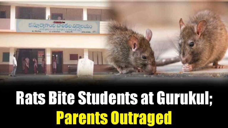 Rats Bite Students at Karimnagar Gurukul; Parents Outraged