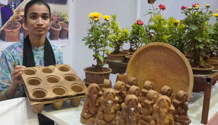Young Rural Grassroots Innovator Srija, Came Out With Eco-friendly Ganesha Made From Groundnut Shells And Agro Waste