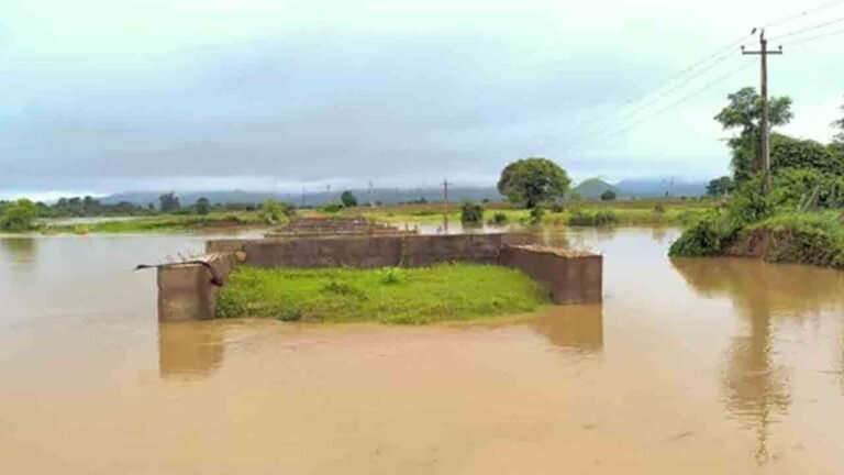 Warangal Rains: Cause Severe Flooding, Disrupt Normal Life
