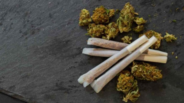 10 Youths Including Students, Detained For Consuming Marijuana At Shankarpally Hostel