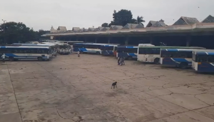 Bus Services Resume From MGBS As Musi Floodwaters Recede