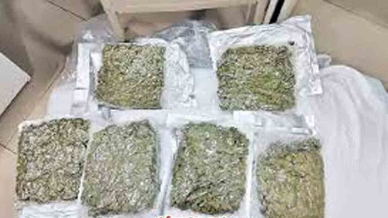 Huge Quantity Of Ganja Seized In Bhadradri Kothagudem