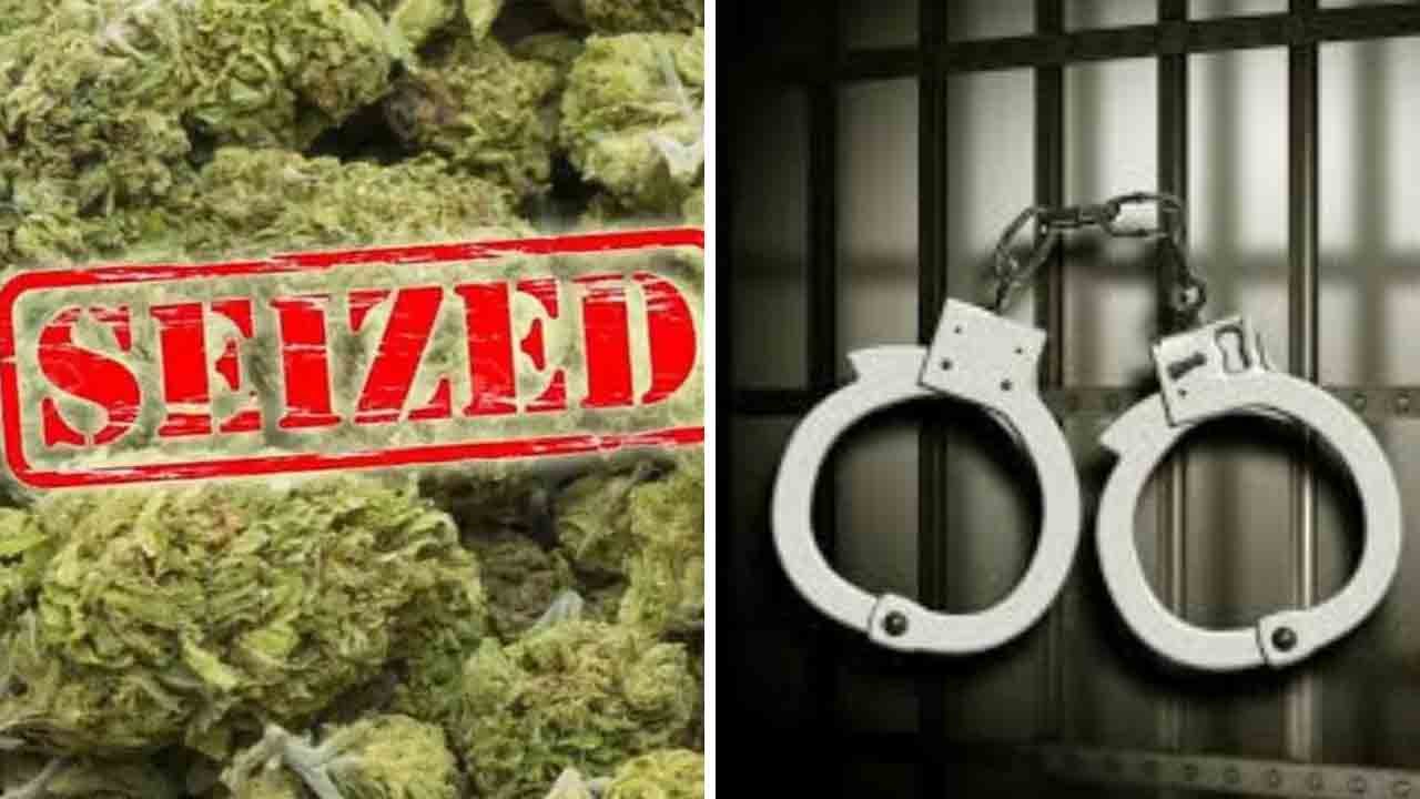 Hyderabad Drug Bust; IT Employees Targeted For Cannabis Supply