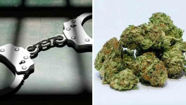 Chandanagar Police Arrested Three People For Transporting 45 KG Marijuana At Lingampalli Station