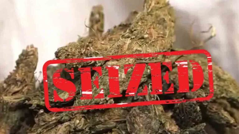 Marijuana Seized In Hyderabad, Minor Held In Drug Supply Case
