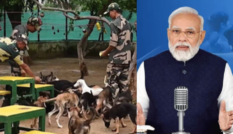 'Mann Ki Baat': PM Modi Hails BSF, CRPF For Increasing Indian Breed Dogs In Their Contigents