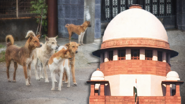 Supreme Court's Sensational Comments On The Stray Dogs Issue