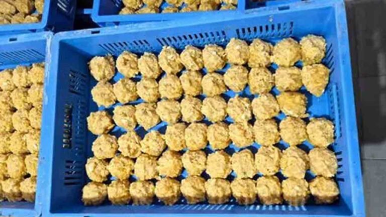 Sub-Standard Laddu Prasadam Sold In Vemulawada Shrine