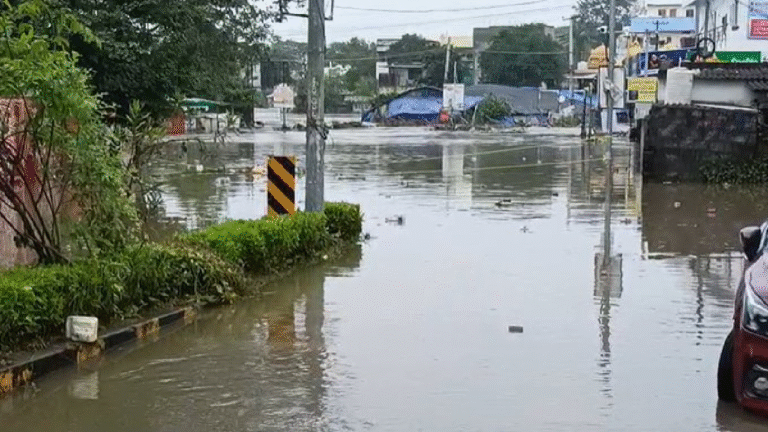 Cyclone Montha Hits Warangal; Hanamkonda Hard, Conolies Flooded!