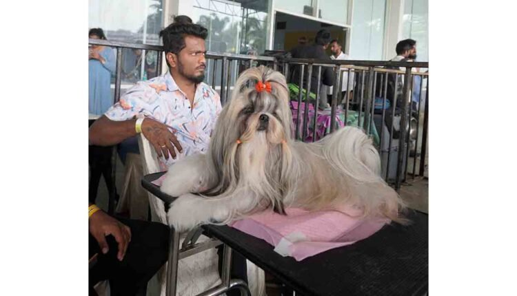 HyCan 2025: Hyderabad’s Biggest Pet Show Begins Tomorrow