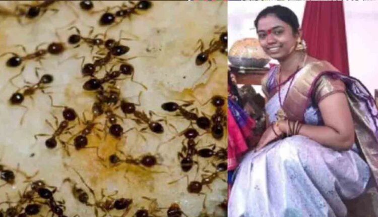 Sangareddy Woman Ends Life Over Fear of Ants