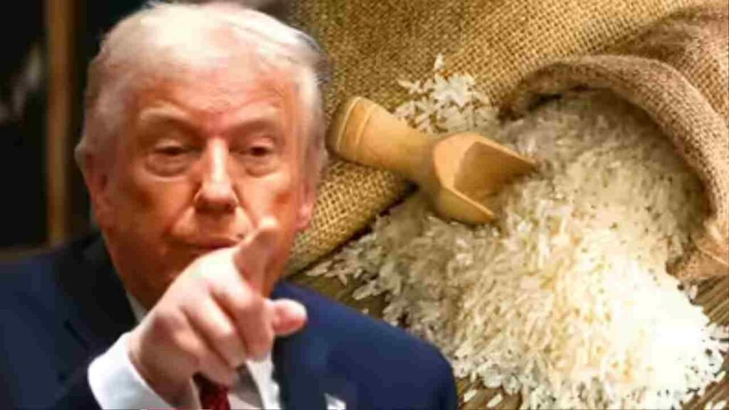 Trump Tariffs signal possible hike on Indian rice imports