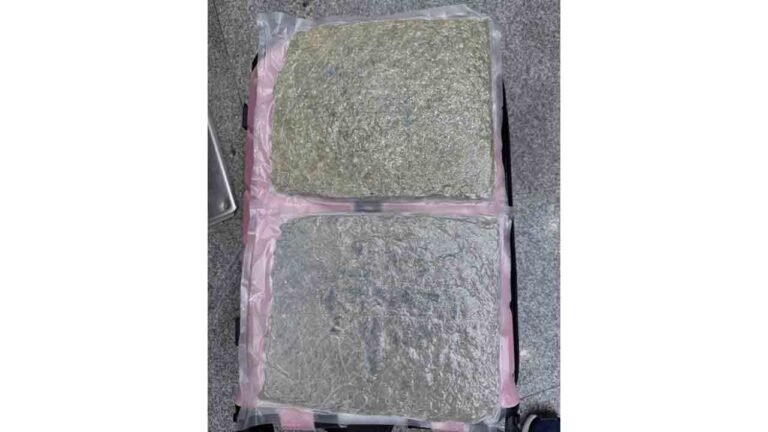 Hydroponic Weed Seizure At Bhubaneswar Airport Ahead Of New Year