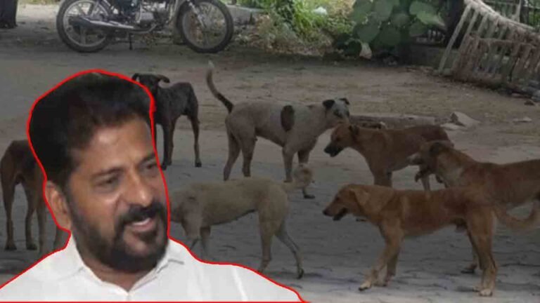 Stray Dog Attack Prompts CM Action In Hyderabad