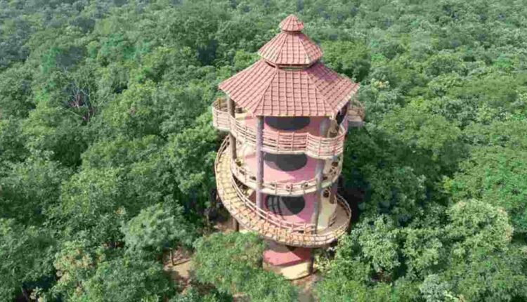 Centre Sanctioned 6 New Urban Forests In Telangana