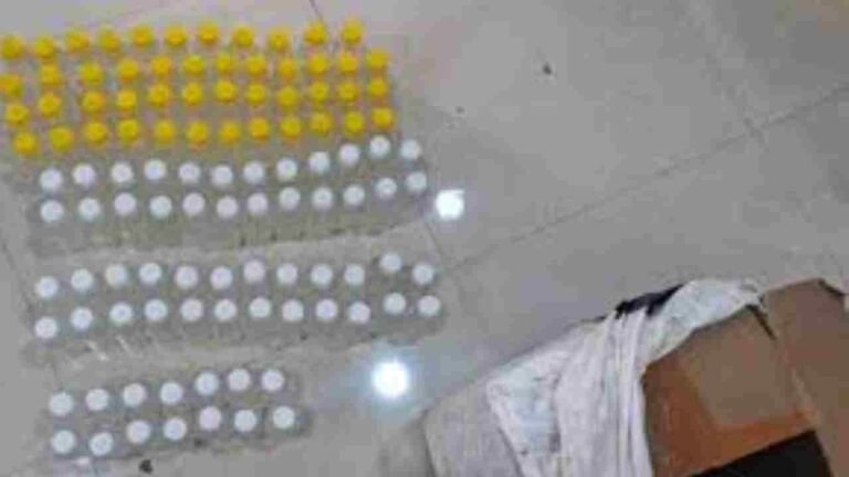 Oxytocin Injections Seized In Adilabad, Man Booked For Illegal Stocking