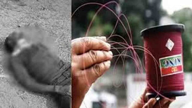 Chinese Manja Death Shocks Sangareddy District