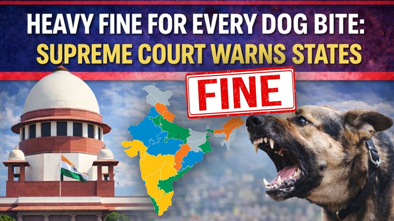 Heavy Fine For Every Dog Bite: Supreme Court Warns States