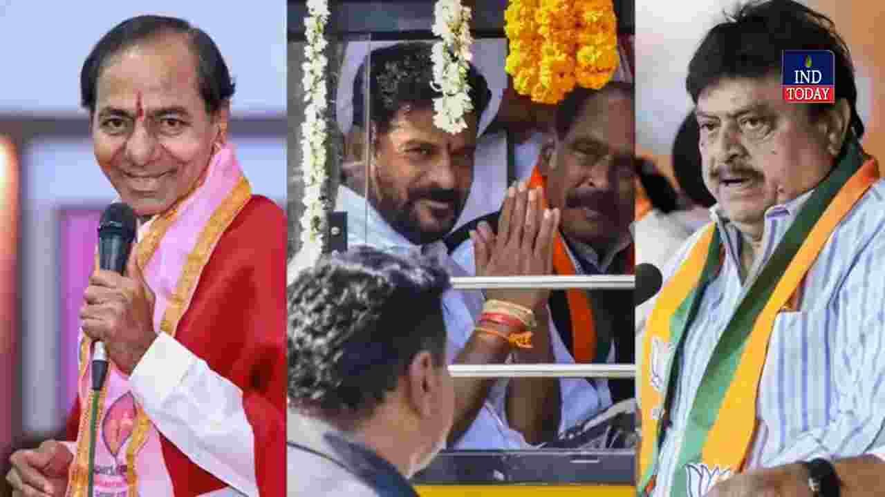 Municipal Election Results Triangular Contest May Shape Future Assembly Elections