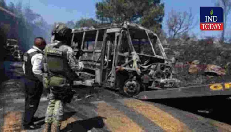 Indian Embassy Advisory After El Mencho Killed