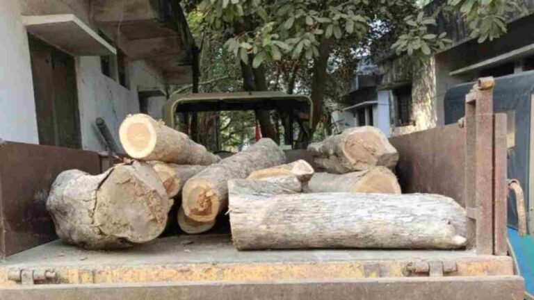Forest Official Booked For Teak Timber Smuggling In Komaram Bheem Asifabad