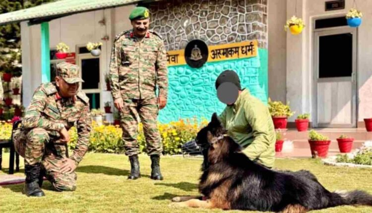 Bullet-Wounded Canine Soldier 'Tyson' Recovering Well: Indian Army