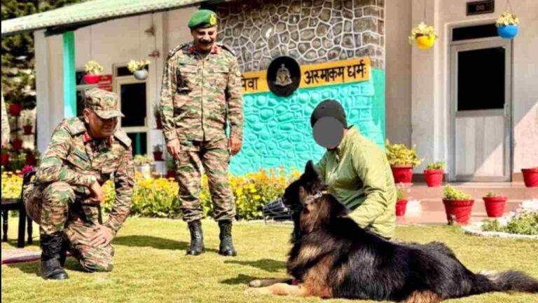 Bullet-Wounded Canine Soldier 'Tyson' Recovering Well: Indian Army