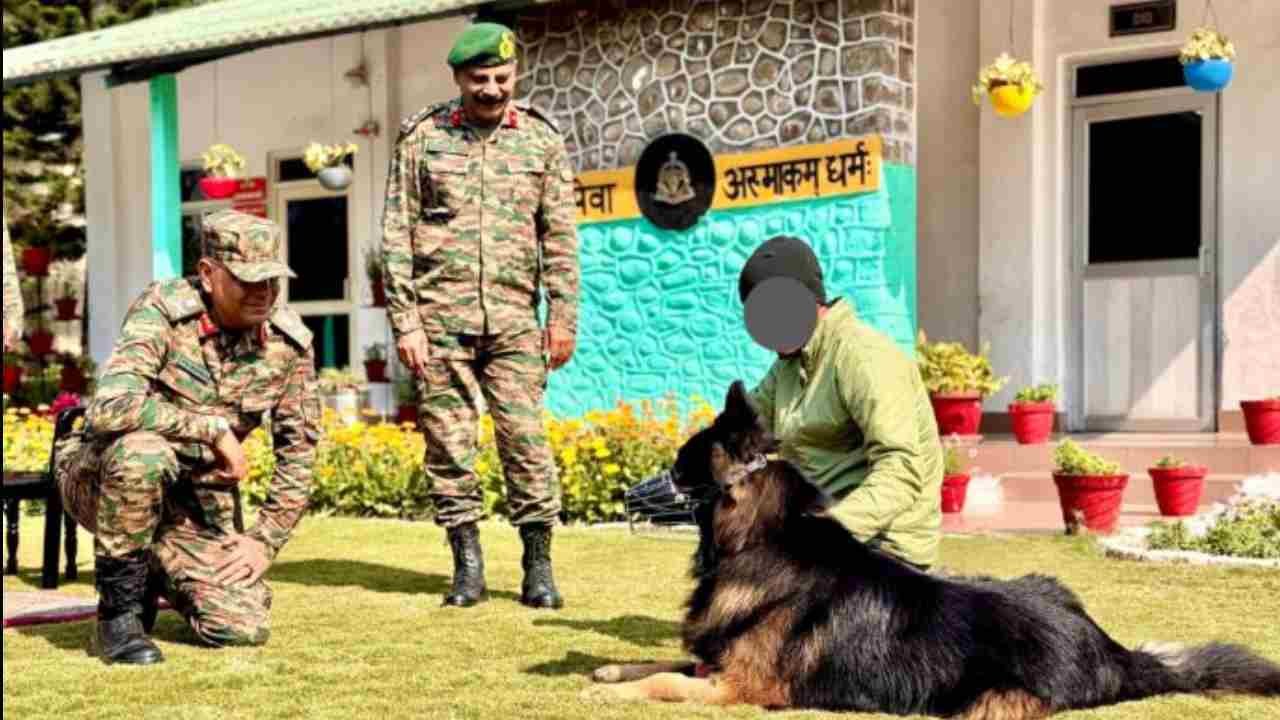 Bullet-Wounded Canine Soldier ‘Tyson’ Recovering Well: Indian Army