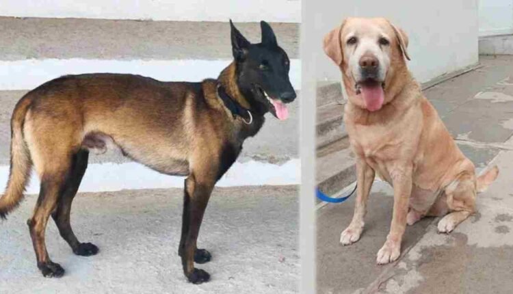 Cyberabad Police K9 Squad Strengthened With Two CID-Trained Dogs