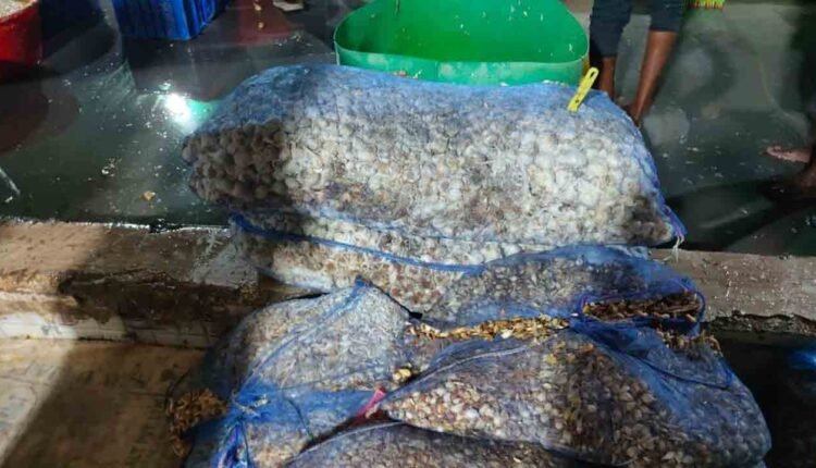 Adulterated Ginger Paste Seized In Hyderabad