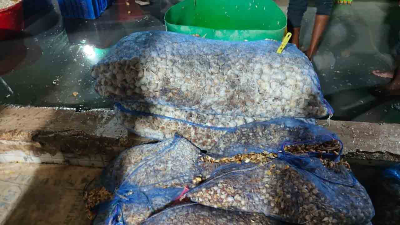 Adulterated Ginger Paste Seized In Hyderabad