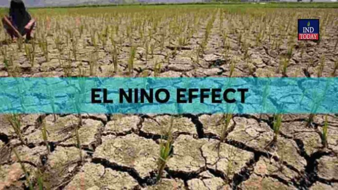 Telangana Weather El Nino impact may trigger heatwaves