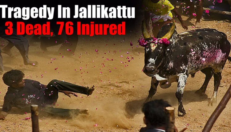 Tragedy In Jallikattu: Three Dead, More Than 76 Seriously Injured