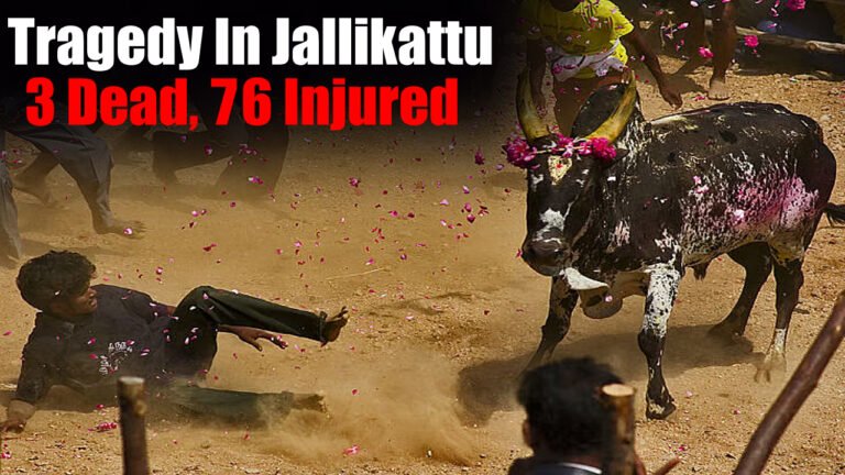 Tragedy In Jallikattu: Three Dead, More Than 76 Seriously Injured