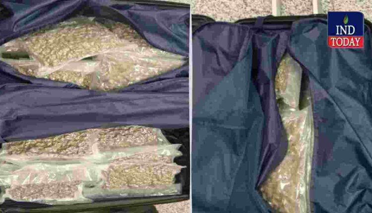 Hyderabad Customs Seize 9 KG Ganja At RGIA