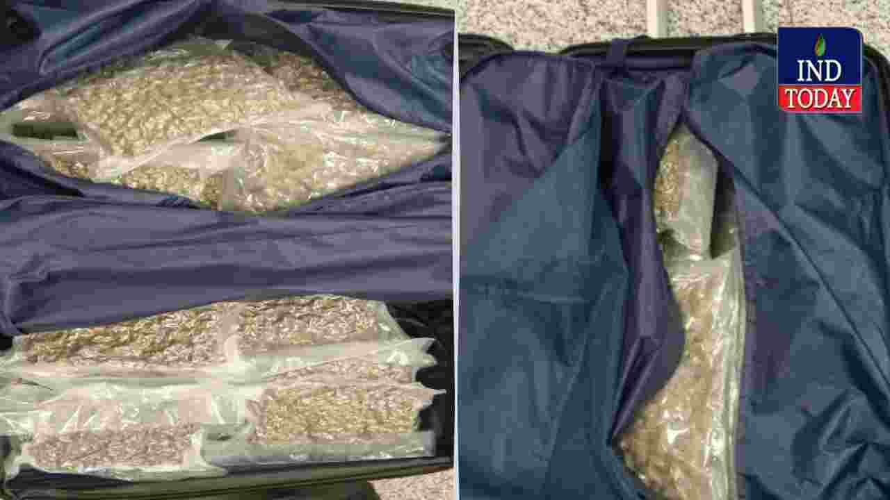 Hyderabad Customs Seize 9 KG Ganja At RGIA