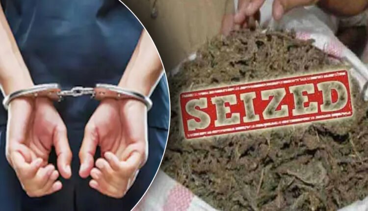 Huge Quantity Of Ganja Seized In Malkajgiri: Two Arrested For Supplying In KIA CAR