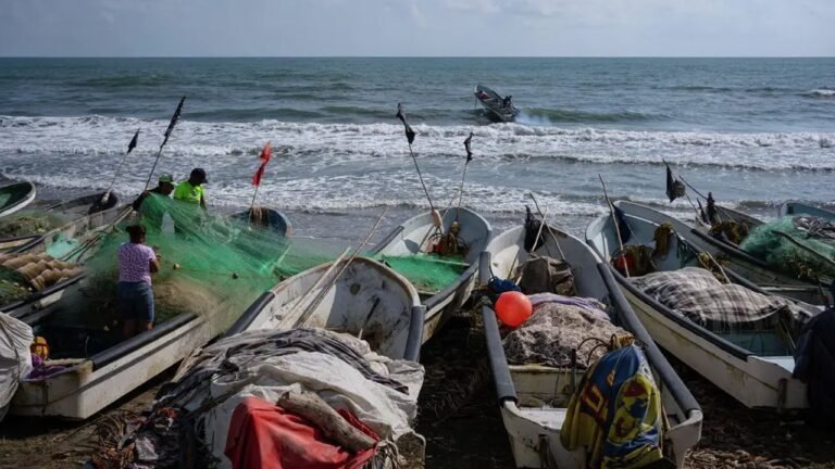 Oil Slicks Piled Up For Kilometers In The Sea: Aquatic Creatures Are Losing Their Lives