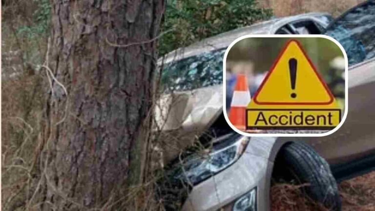 Car Hits Tree : Brothers Dead, Five Injured