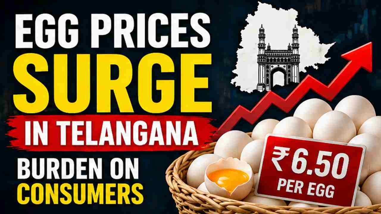 Egg Prices Surge in Telangana, Burden on Consumers
