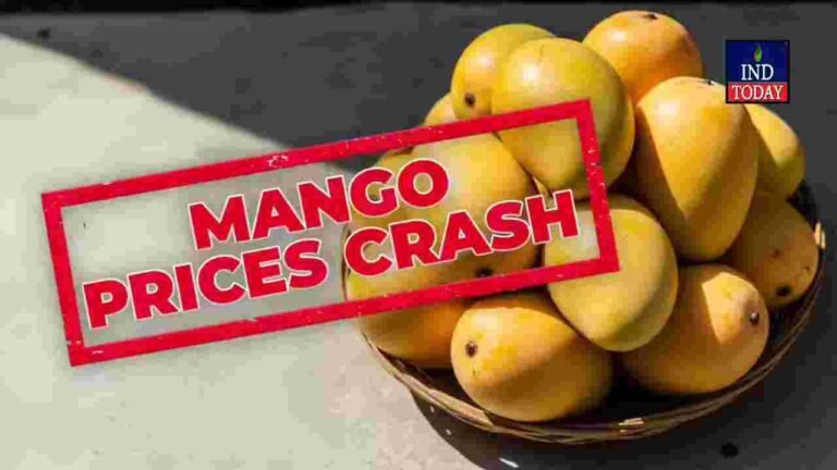 Mango prices crash in Andhra Pradesh