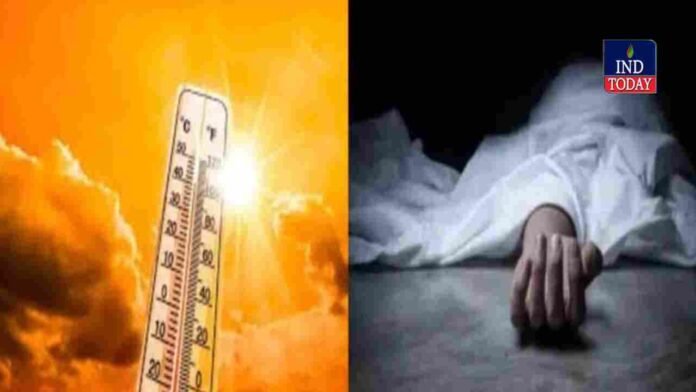 Three People Died Due To Sunstroke Amid Heatwave In Adilabad