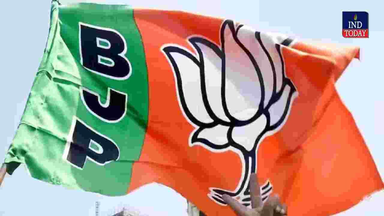 BJP Secures Lead In Himachal Pradesh Municipal Elections