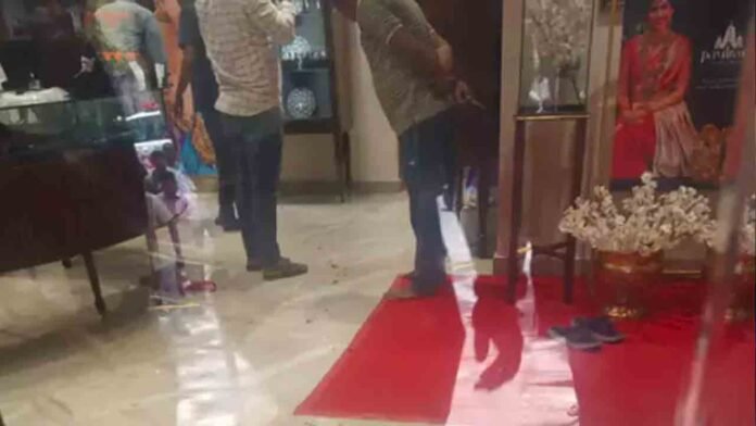 Karimnagar Jewellery Shop Robbery: Armed Gang Opens Fire, Loots Gold