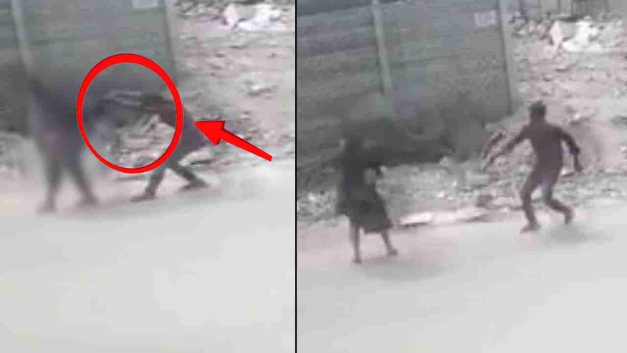 Hyderabad: Woman Walking On The Road In Broad Daylight