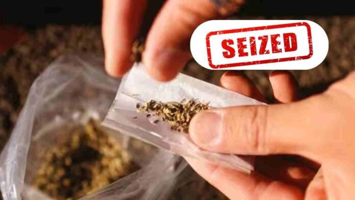 500 Kg Of Marijuana Seized
