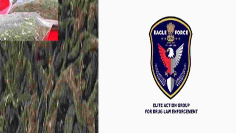 Telangana EAGLE Force Busts International Hydroponic Ganja Syndicate