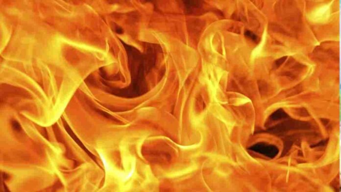 Couple Escapes As Hut Burns In Narayanpet Fire